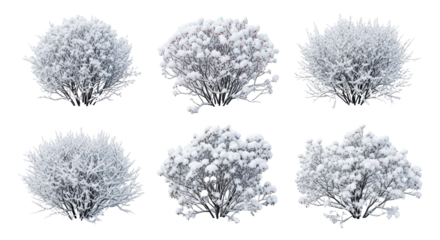 Minimalist Winter Nature Scene Snow Covered Bushes in Serene Snowy Landscape