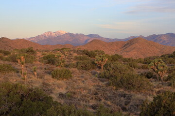 Morning light on San Gorgonio mountain capped with snow as seen from the Mojave desert at Joshua Tree National Park, California