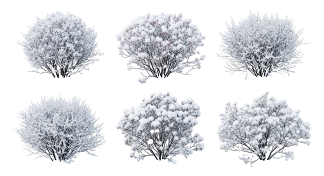 Minimalist Winter Nature Scene Snow Covered Bushes in Serene Snowy Landscape