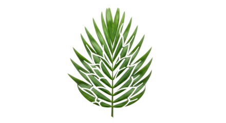 Tropical Cutout Plant Leaf With Intricate Patterns Isolated on White Background Design