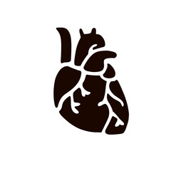 Heart organ icon