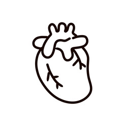 Heart organ icon