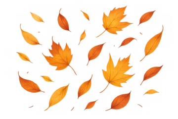 Autumn leaves falling, scattered maple and various seasonal foliage creating a warm, decorative background