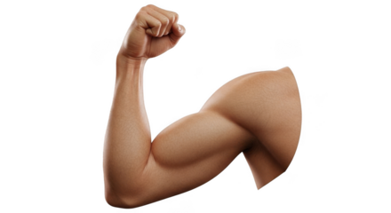 Muscular bicep flexing arm showing strength and power in studio lighting transparent background