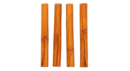 Four Cinnamon Sticks on Black Background spice bark