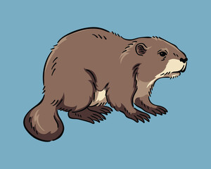 Beaver Illustration, Wildlife Animal Line Art Drawing Vector