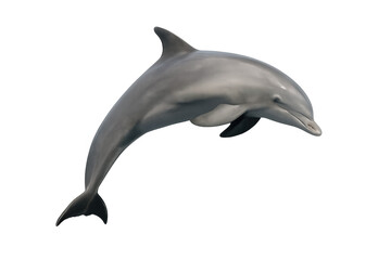 Obraz premium Bottlenose dolphin jumping, displaying grace and agility, isolated marine animal on transparent background for design projects