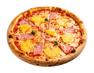 Tasty Italian Style Pizza with Assorted Meats and Cheese
