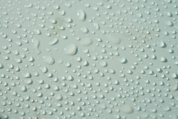 Water droplets cover a smooth surface after rain