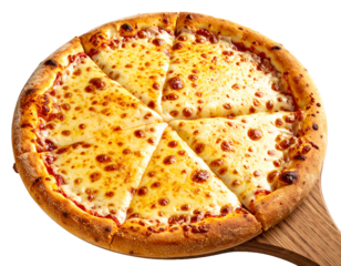 Tasty Italian Style Pizza with Assorted Meats and Cheese