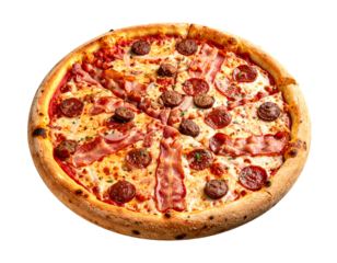 Tasty Italian Style Pizza with Assorted Meats and Cheese