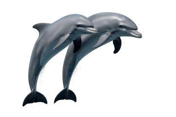 Obraz premium Pair of dolphins jumping together from water in a dynamic acrobatic show, transparent background for design flexibility