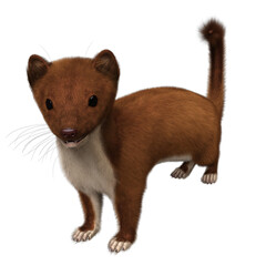 3D rendered illustration of a brown weasel isolated on transparent background