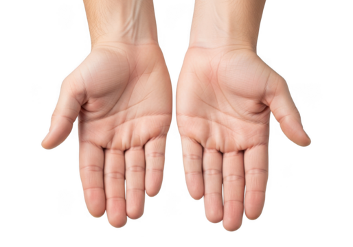 A pair of human hands palms facing upwards showing skin texture and lines isolated on transparent background