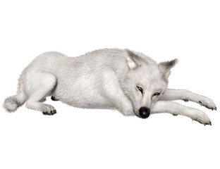 3D rendered fantasy white wolf illustration isolated on transparent background