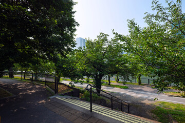 晴れの毛馬桜之宮公園