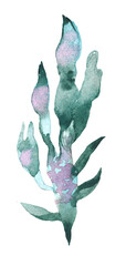 Seaweed watercolor illustration of abstract sea underwater plants