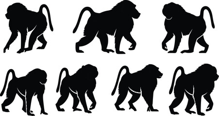 Collection of Walking Baboon Silhouettes, Featuring Different Monkey Postures and Primate Anatomy, Detailed Wildlife Animal Graphics Flat Vector Illustration