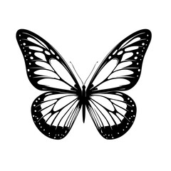 Colorful Elegant Butterfly Vector Art
