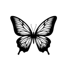 Elegant Butterfly 37 Vector Illustration