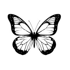 Elegant Butterfly 40 Vector Illustration
