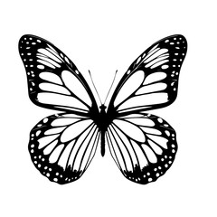Colorful Butterfly 39 Vector Illustration