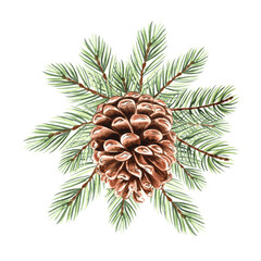 Spruce, pine branch with cone watercolor isolated illustration for christmas or autumn desing. Hand-drawn fir twig with green needles for winter holiday decor. Sketch of evergreen conifer for card © susie_p_art