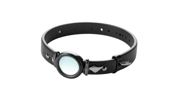 Black collar with central white lens
