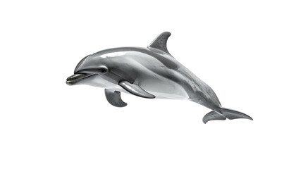 Sleek dolphin swimming, gray and white against black background