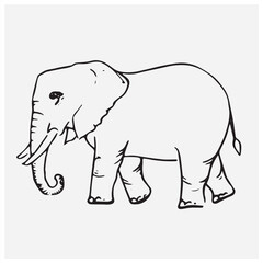 elephant vector illustration