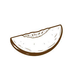 Hand drawn sketch of a cantaloupe slice with seeds in a vintage style on white background