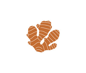 Ginger logo. Isolated ginger on white background