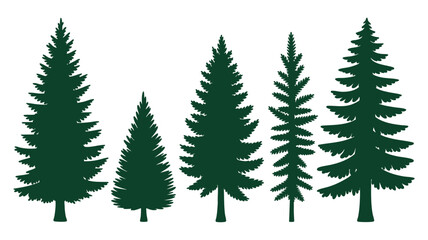 Obraz premium Assorted evergreen tree shapes