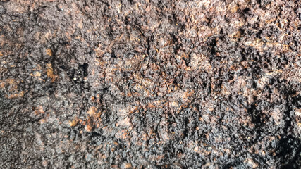 Rustic close-up of old tree bark texture with cracked wooden details, deep grooves, and natural rough surfaces ideal for nature backgrounds and high-resolution abstract wood textures