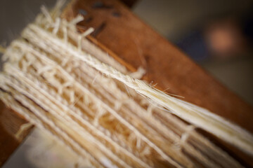 sisal (ป่านศรนารายณ์), natural fiber (เส้นใยธรรมชาติ)