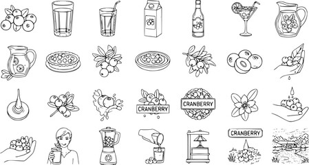 Cranberry Doodle Icons: Juice, Pie, Fruit, and More - Hand-Drawn Vector Set