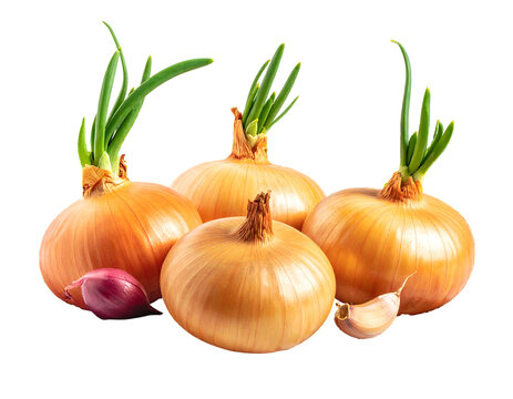 Close-up of four onions with green shoots, a red shallot, and a garlic clove, arranged against a dark background