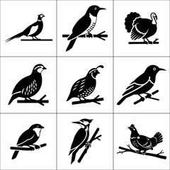 Obraz premium Collection of nine different bird species isolated on white background
