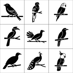 Collection of nine different bird species silhouettes isolated on white background