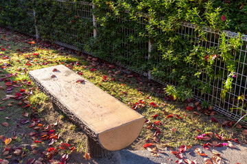 秋の夕日を浴びる公園のベンチ