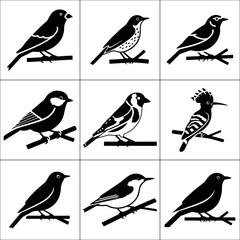 Nine different birds sitting on branches in a grid isolated on white background