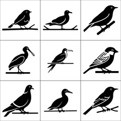 Collection of nine silhouette birds isolated on white background in a grid
