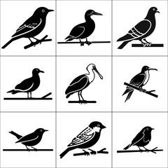 Collection of nine different bird silhouettes isolated on white background