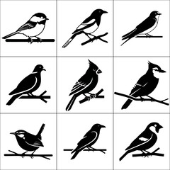 Collection of nine silhouette birds isolated on white background in a grid