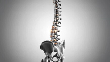 Detailed 3D Medical Animation Illustrating the Human Spine and Pelvis Showing Vertebrae and Spinal Cord Anatomy With Subtle Orange Highlight on Lumbar Region Against a