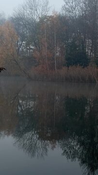 Klimatyczny poranek z mgłą nad jeziorem