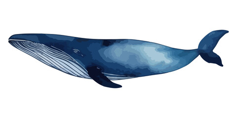 Watercolor blue whale illustration isolated on white background. Hand-painted ocean animal artwork with textured details. Marine wildlife design for posters, decor, print.