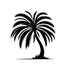 Obraz premium Date Palm Tree Vector Illustration