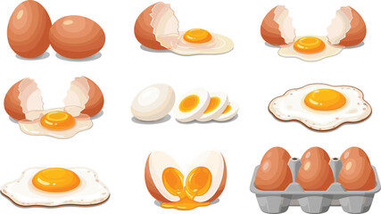 Egg illustration set, cracked eggs, boiled egg slices, fried egg, soft-boiled yolk, egg carton, cooking stages, breakfast food, protein source