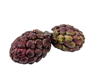Close-up studio shot of two artichokes. They are purple-red, with green tips and a textured, layered appearance against a black background